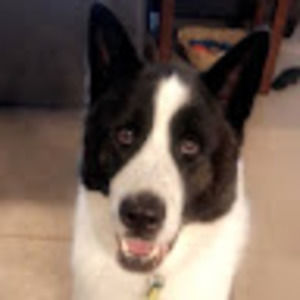 Meet your Posher, Aubrey